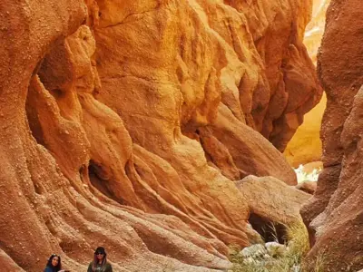 طبس سرزمین نخل و شالیزار 7 تا 10 فروردین